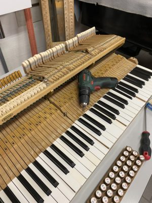 PTD action & weights